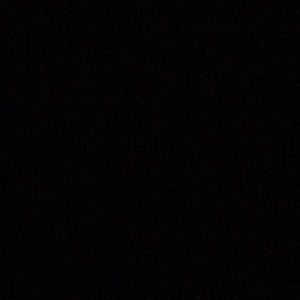 Meet your Posher, Maggie